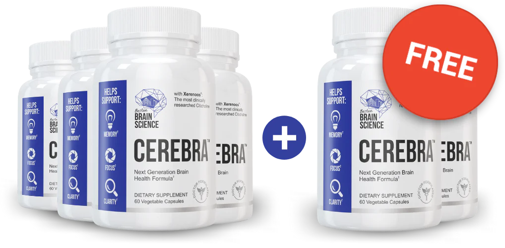 Cerebra